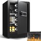 DAYI Safe Box, 2.0 Cubic Feet Home Safe with Fireproof Waterproof Bag, Security Safe Box for Money Cash Valuables, Digital Electronic Keypad, Dual Alarm System, Removable Shelf - D-45